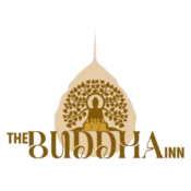 square image removebg preview